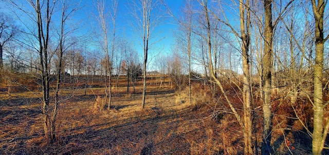 view of landscape