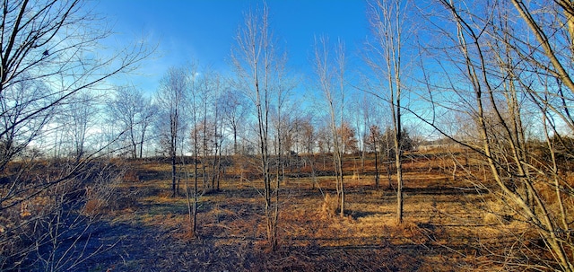 view of landscape