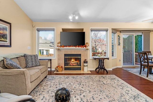 living room featuring a fireplace, wood-type flooring, and plenty of natural light