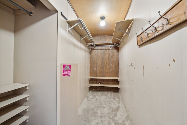 spacious closet with light carpet