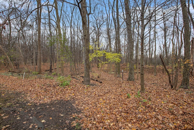 view of local wilderness