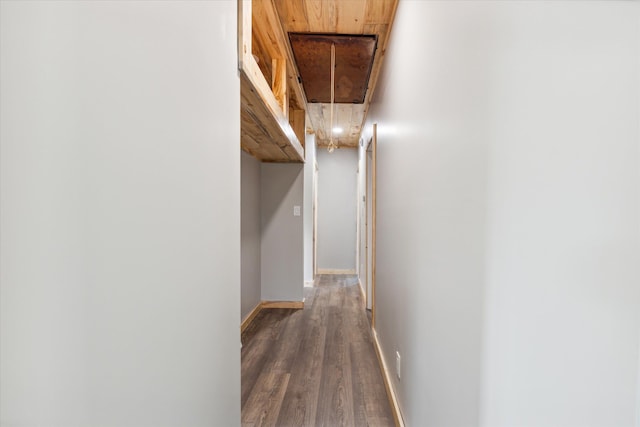 hallway with dark wood-type flooring and wood ceiling