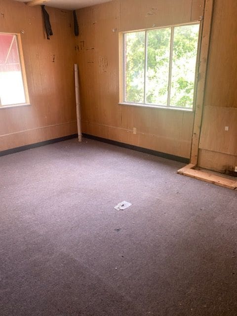 carpeted empty room with wooden walls