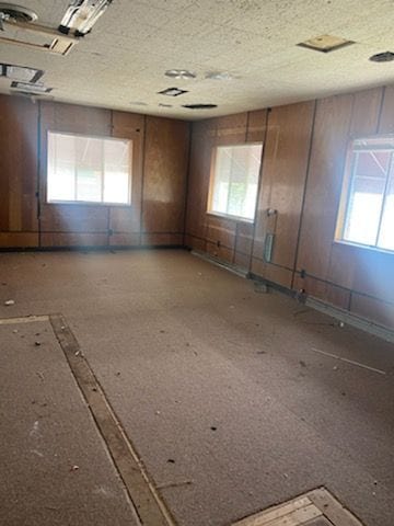 spare room with a healthy amount of sunlight and wooden walls