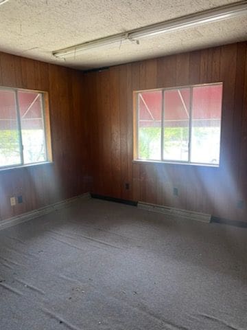 unfurnished room with a textured ceiling, a healthy amount of sunlight, and wood walls