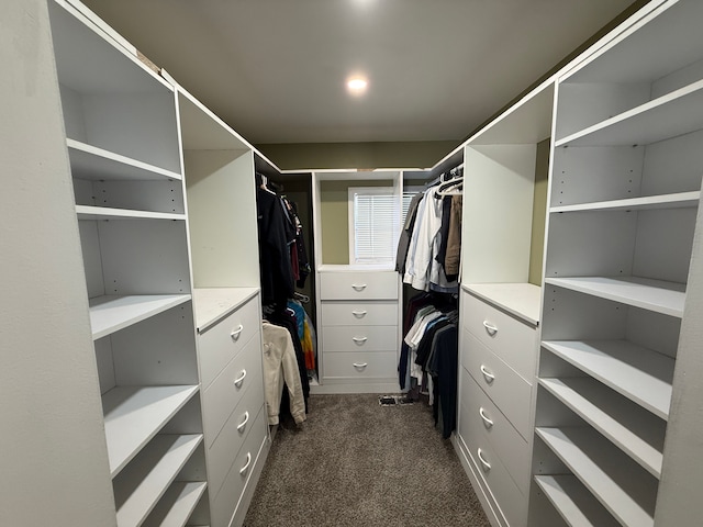 5052 Kenway Ct S, Sterling Heights, MI 48310 - walk in closet featuring dark colored carpet