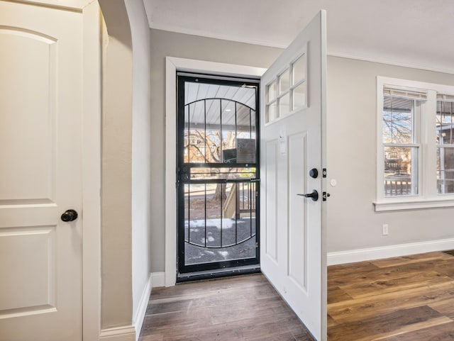 entryway featuring crown molding and dark hardwood / wood-style flooring