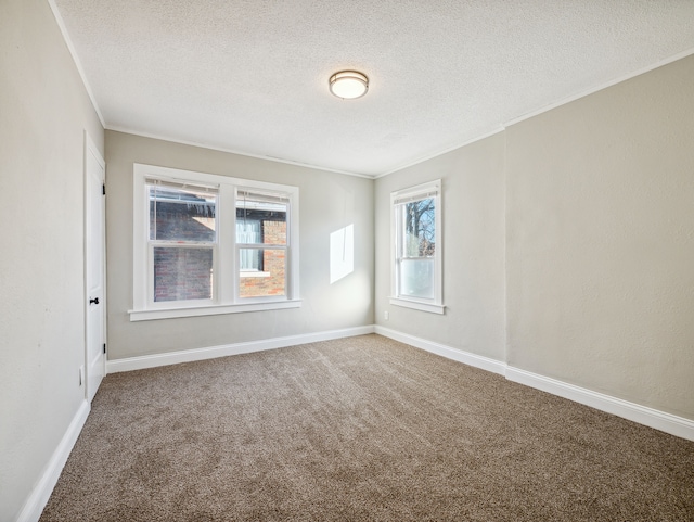 unfurnished room with carpet, ornamental molding, and a textured ceiling