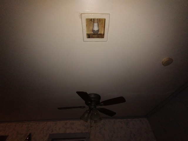 room details with ceiling fan