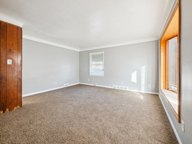 empty room featuring carpet floors and crown molding