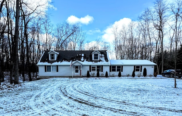 view of cape cod house