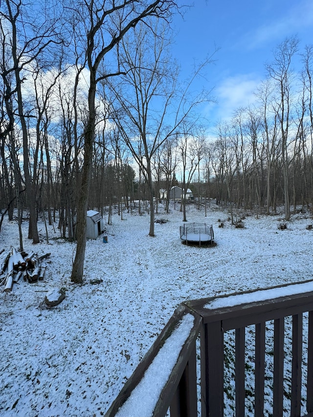 yard covered in snow with a trampoline