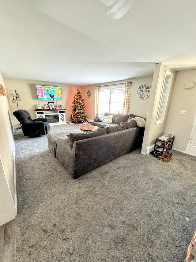 living room with carpet