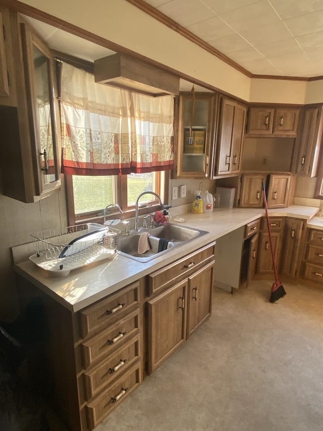 kitchen with crown molding and sink