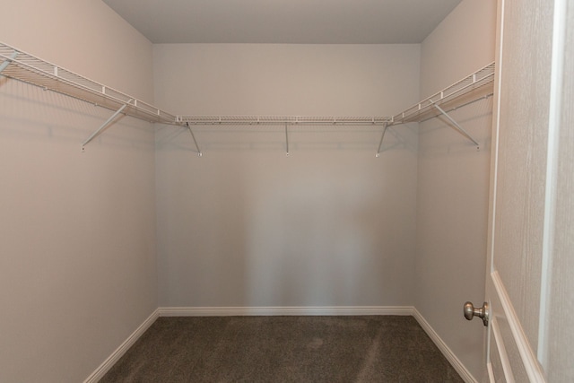 spacious closet featuring dark colored carpet