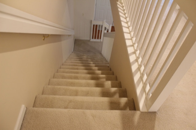 staircase featuring carpet