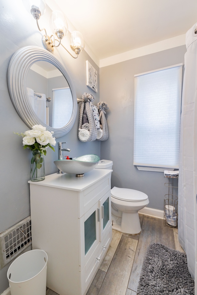 bathroom with vanity, wood-type flooring, and toilet