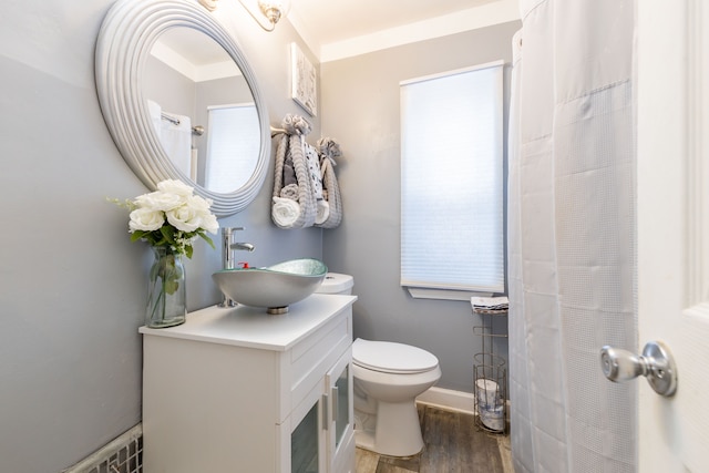 bathroom with hardwood / wood-style floors, vanity, and toilet