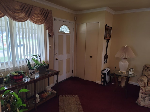foyer featuring crown molding and a healthy amount of sunlight
