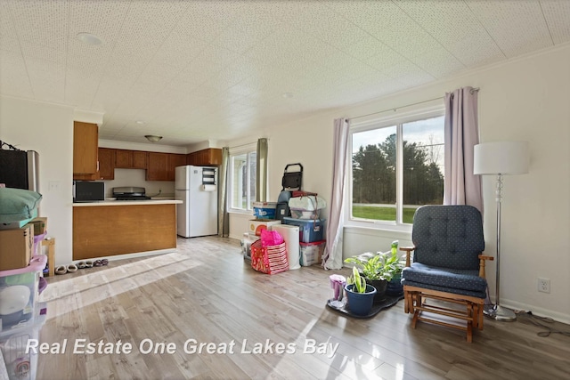 living area with light hardwood / wood-style flooring