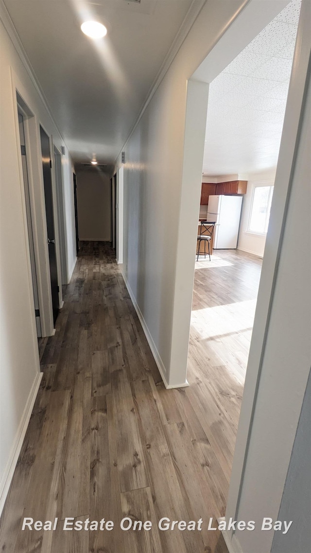 corridor featuring hardwood / wood-style flooring and crown molding