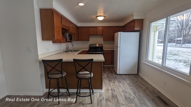 kitchen with appliances with stainless steel finishes, sink, ornamental molding, kitchen peninsula, and light wood-type flooring