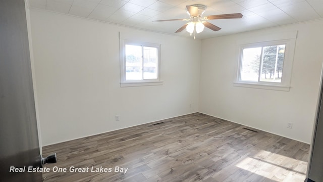 spare room featuring plenty of natural light, light hardwood / wood-style floors, and ceiling fan