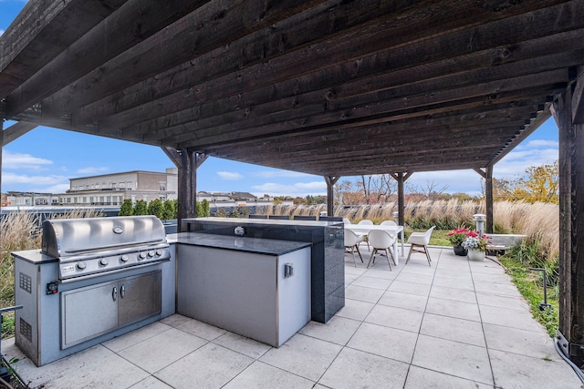 view of patio / terrace with area for grilling and exterior kitchen