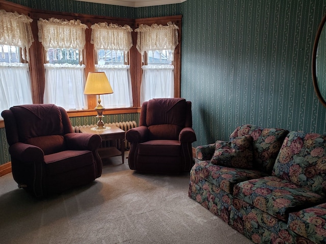 living area featuring carpet and crown molding