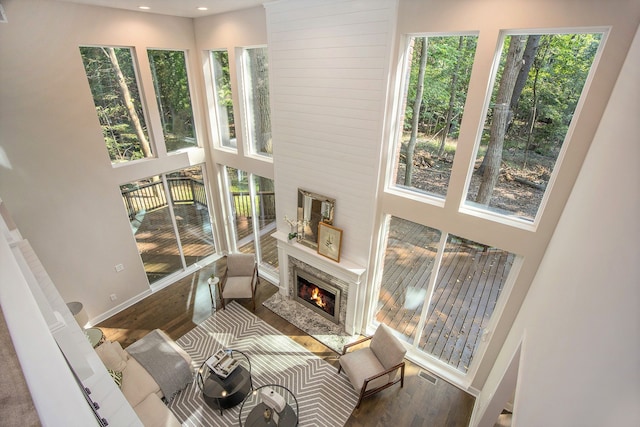 living room featuring a healthy amount of sunlight, wood-type flooring, and a towering ceiling