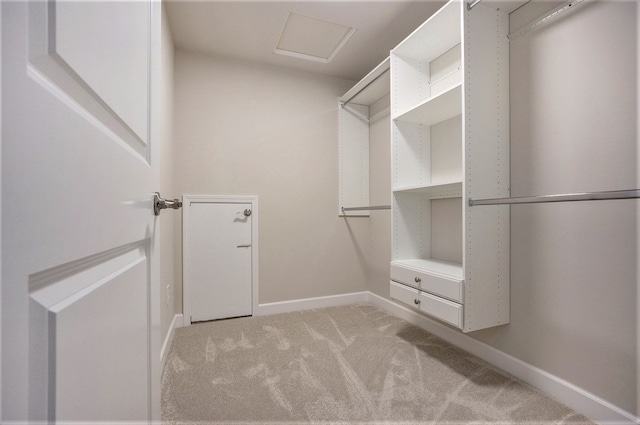 walk in closet with light carpet