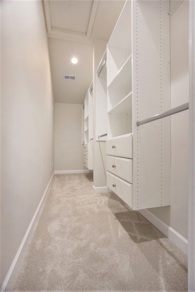 walk in closet with light carpet