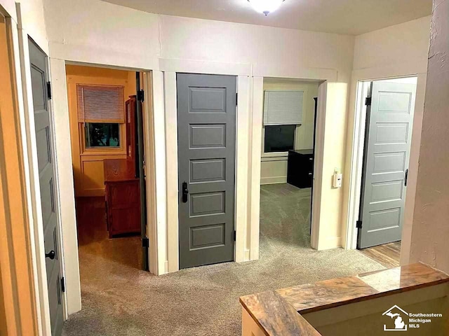 hallway featuring carpet flooring
