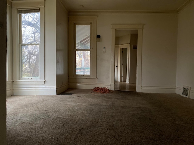 spare room featuring carpet floors