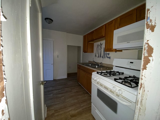 kitchen featuring sink, wood-type flooring, and white appliances