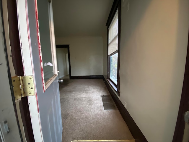 unfurnished room with carpet