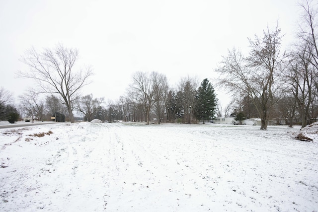 view of snowy yard