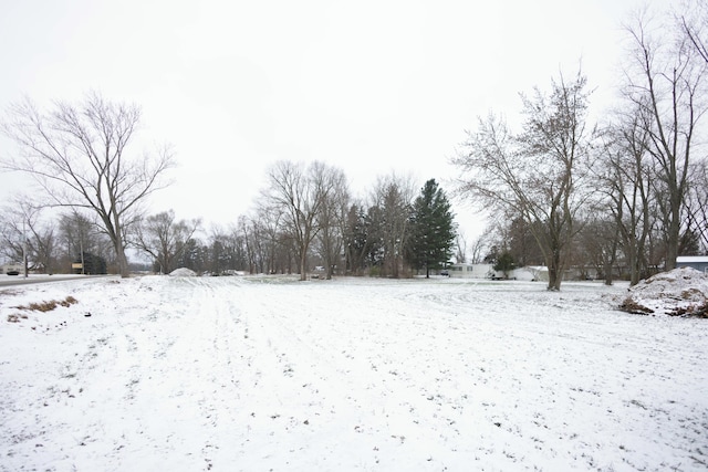 view of yard layered in snow