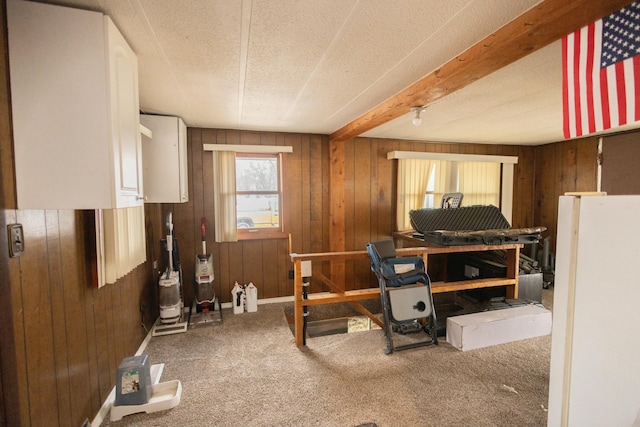 interior space with carpet, a textured ceiling, and wood walls