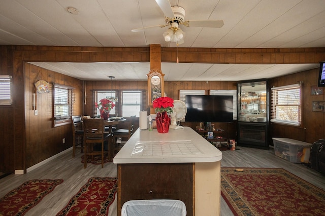 kitchen featuring wooden walls and a wealth of natural light