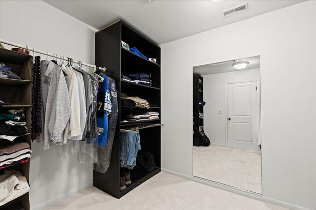 spacious closet featuring carpet flooring