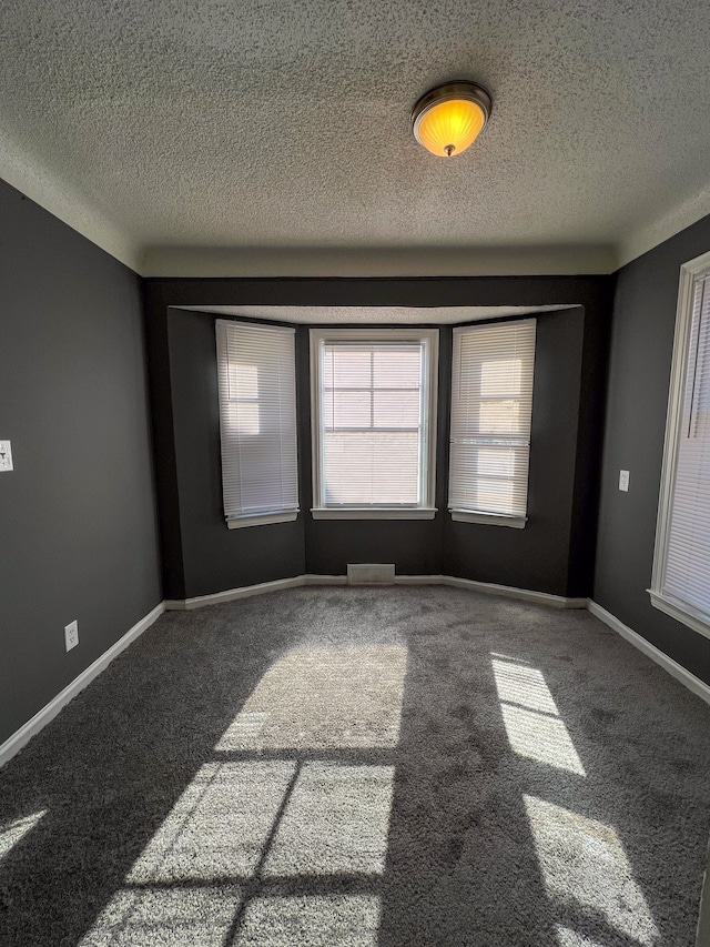 empty room featuring carpet and a textured ceiling