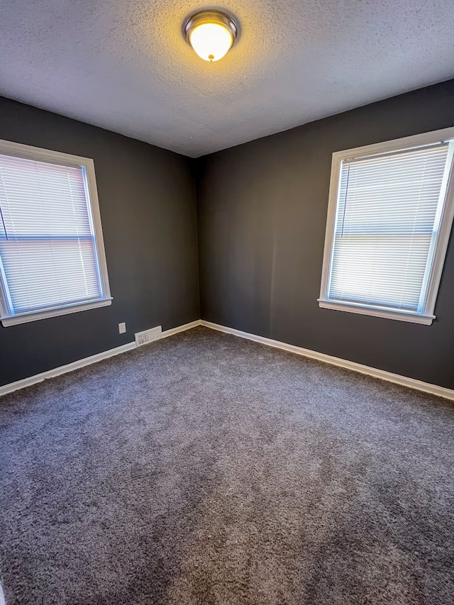 empty room featuring carpet flooring and a textured ceiling