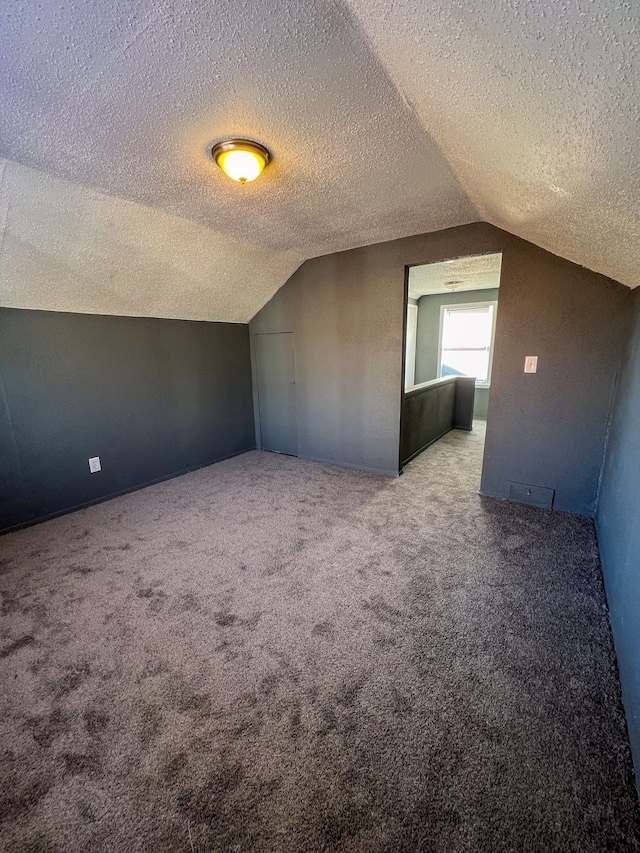 additional living space with carpet, a textured ceiling, and lofted ceiling