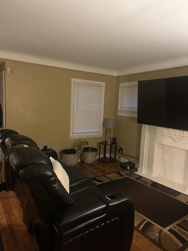 living room featuring a fireplace and dark hardwood / wood-style flooring