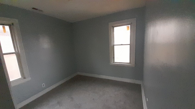 carpeted spare room featuring a wealth of natural light