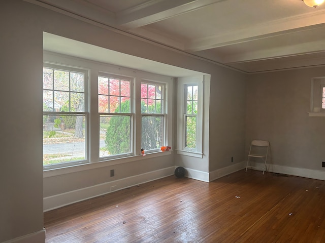 spare room with beam ceiling, ornamental molding, and dark wood-type flooring