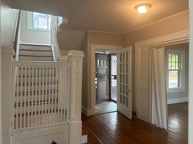 interior space with ornamental molding and dark wood-type flooring