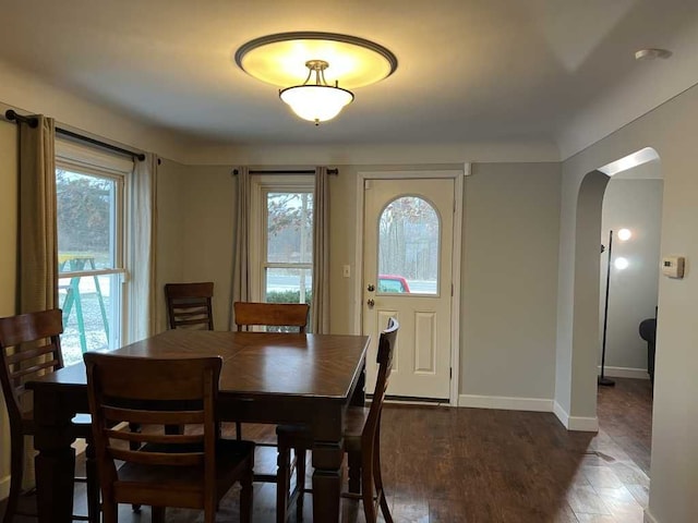 dining area featuring dark hardwood / wood-style flooring