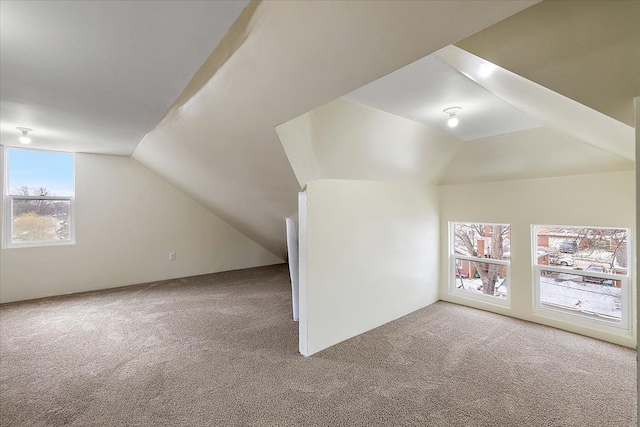 bonus room featuring a wealth of natural light, carpet floors, and lofted ceiling